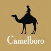 camelboro_t1.jpg