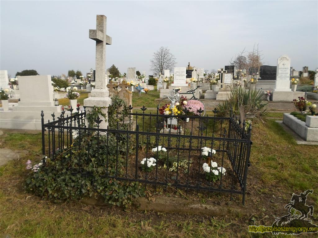 Lippay Lajos (3).JPG