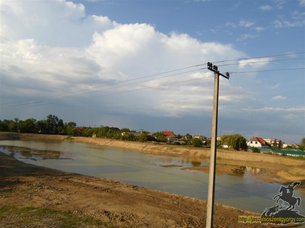 SAM_3574 (Large).JPG