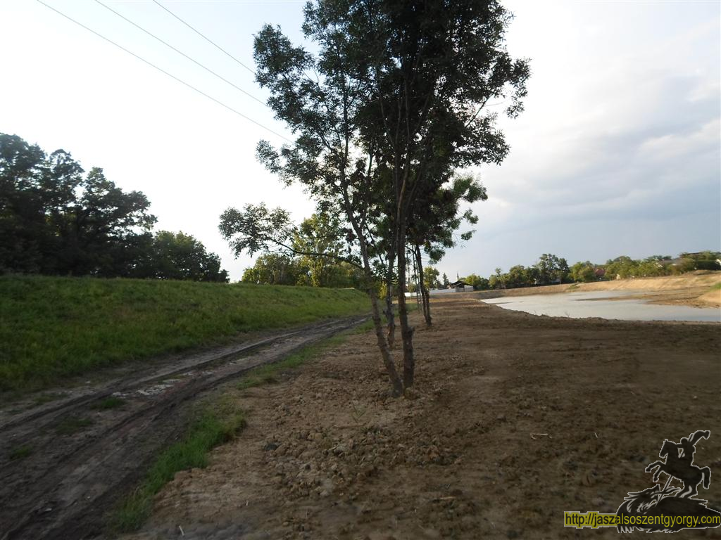 SAM_3582 (Large).JPG