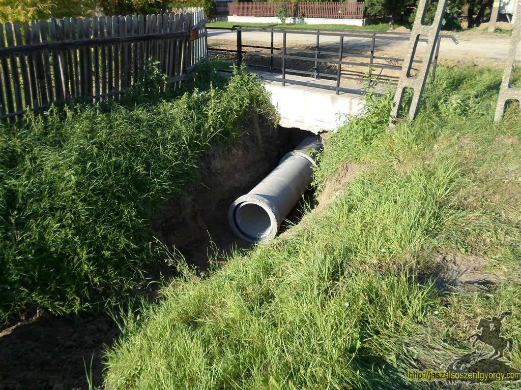 SAM_3839 (Large).JPG