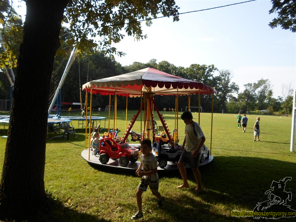 SAM_3658 (Large).JPG