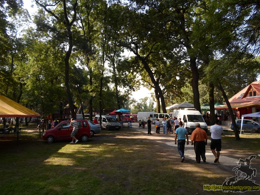 SAM_3678 (Large).JPG