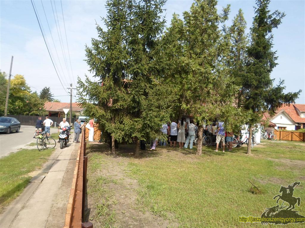 SAM_3720 (Large).JPG