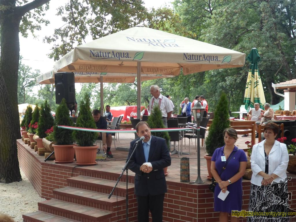 SAM_3761 (Large).JPG