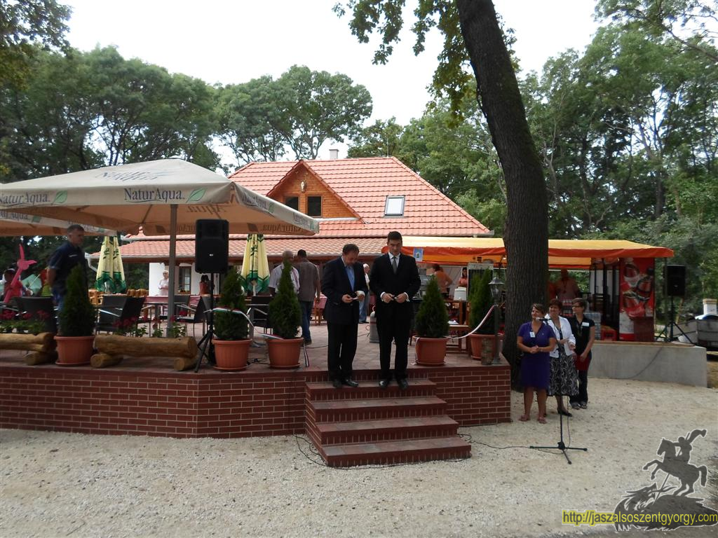 SAM_3765 (Large).JPG