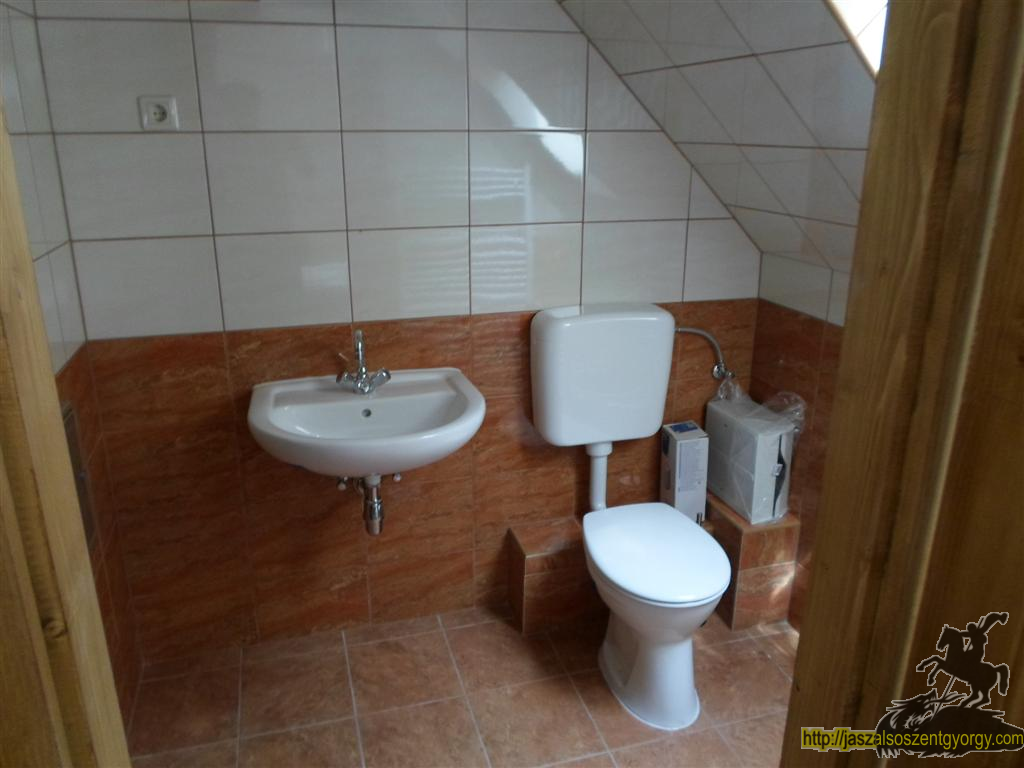 SAM_3774 (Large).JPG