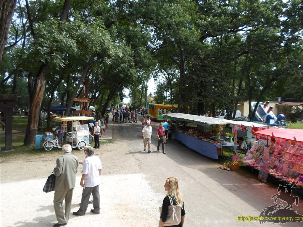 SAM_3781 (Large).JPG