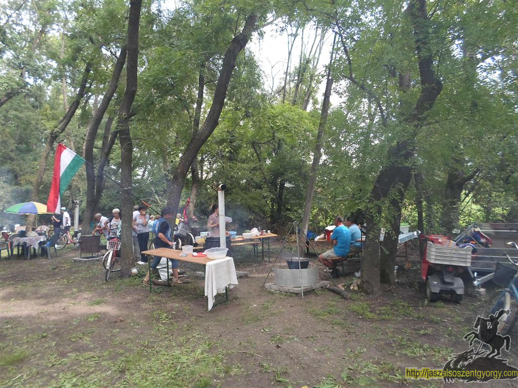 SAM_3783 (Large).JPG