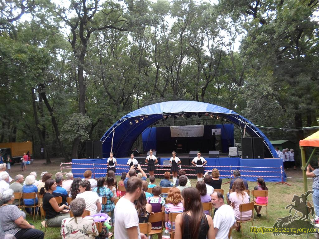 SAM_3825 (Large).JPG