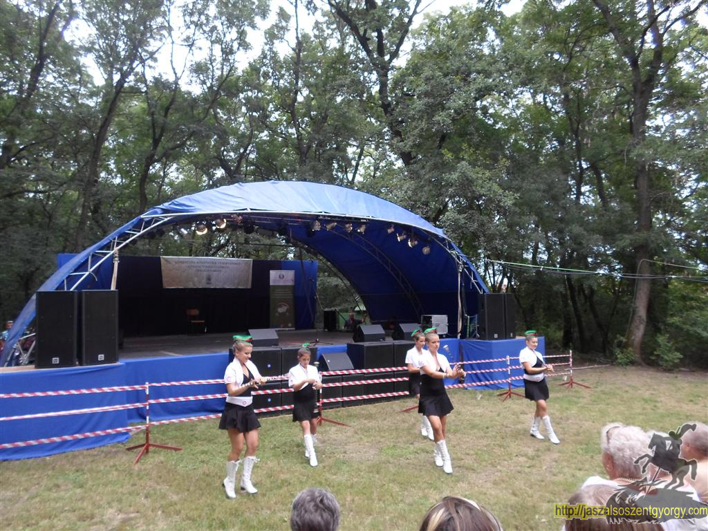 SAM_3827 (Large).JPG