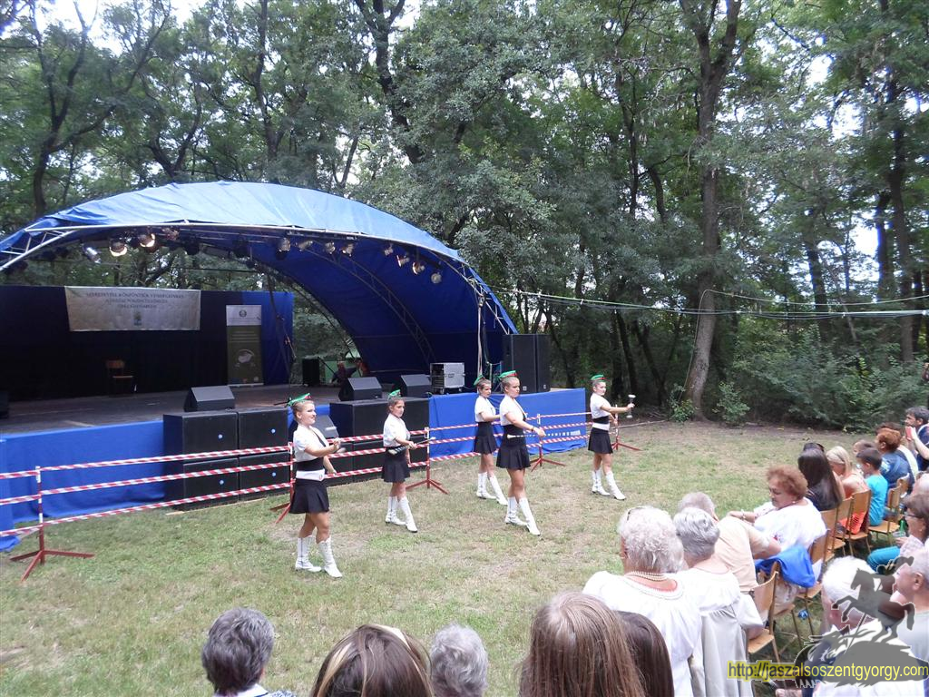 SAM_3828 (Large).JPG