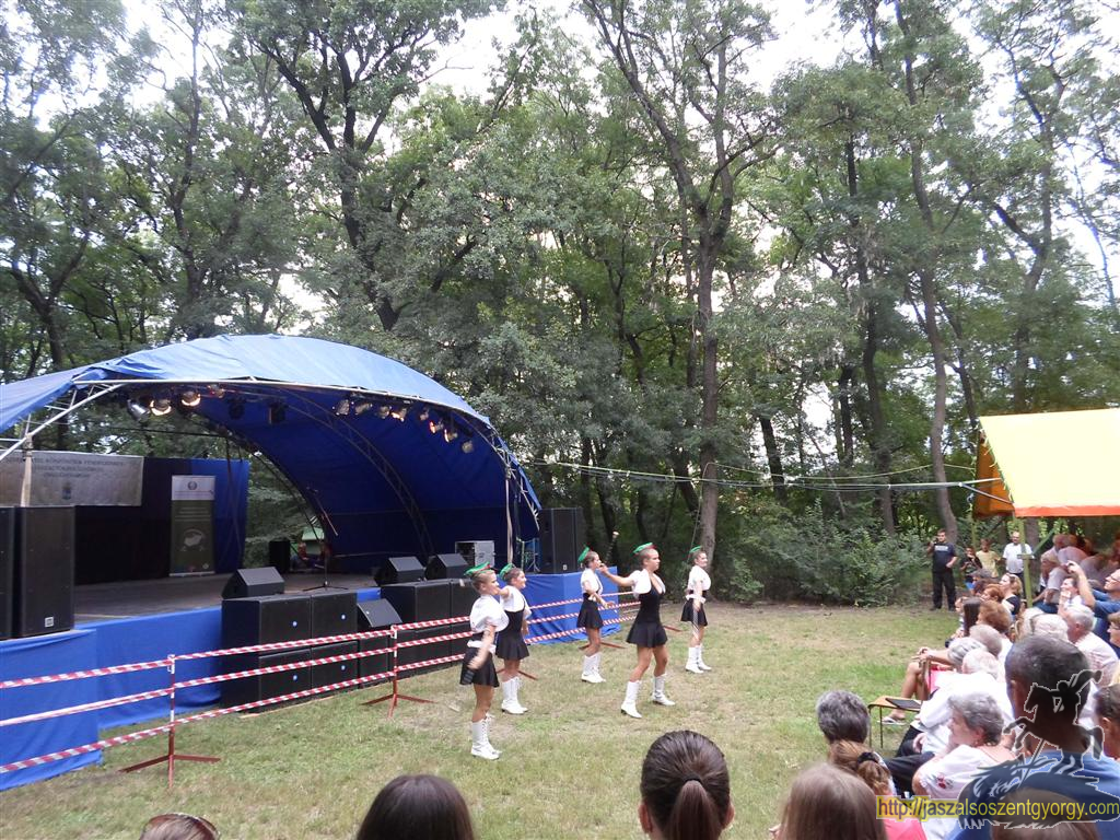 SAM_3829 (Large).JPG