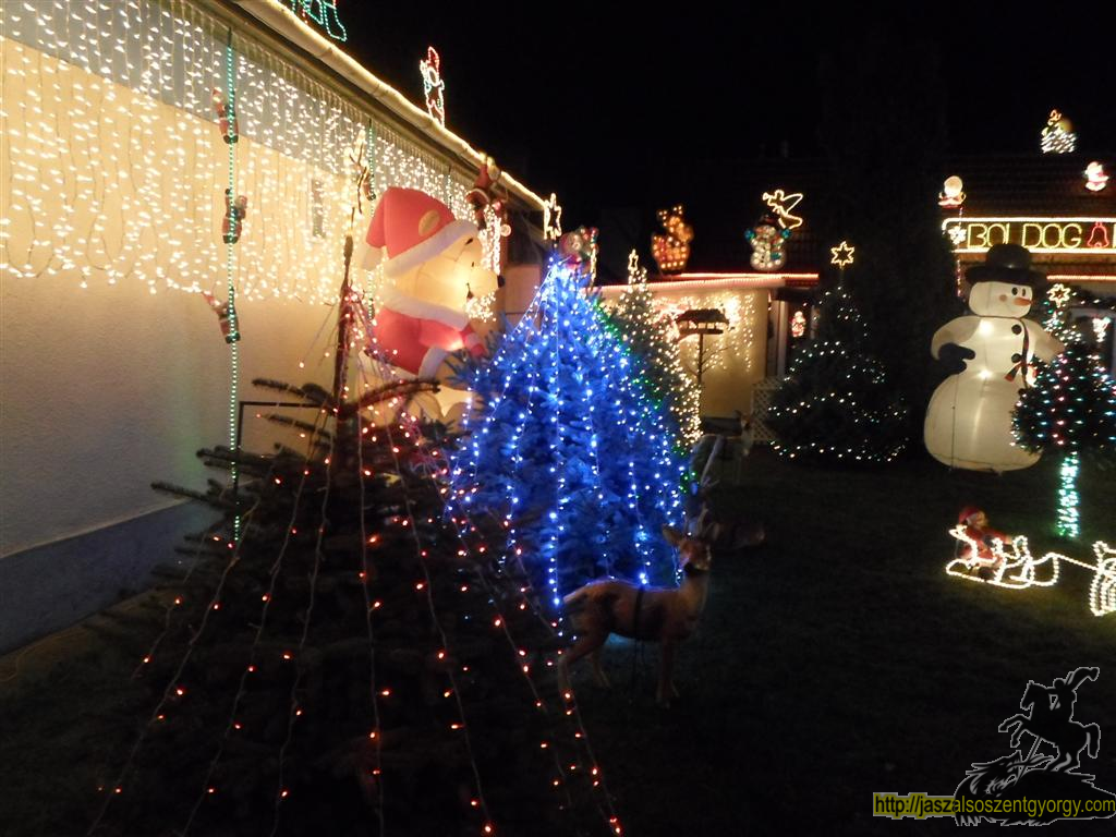 SAM_4368 (Large).JPG