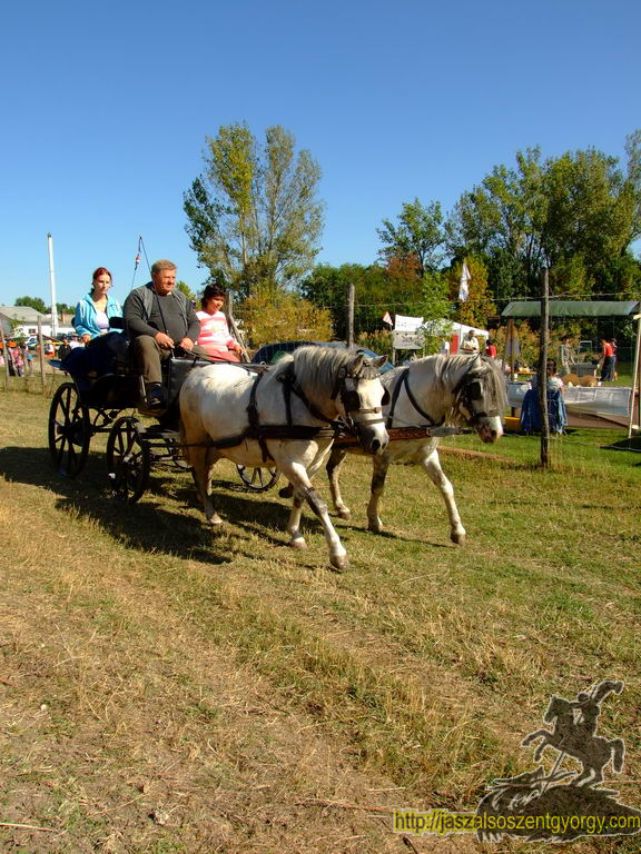 090926082.jpg