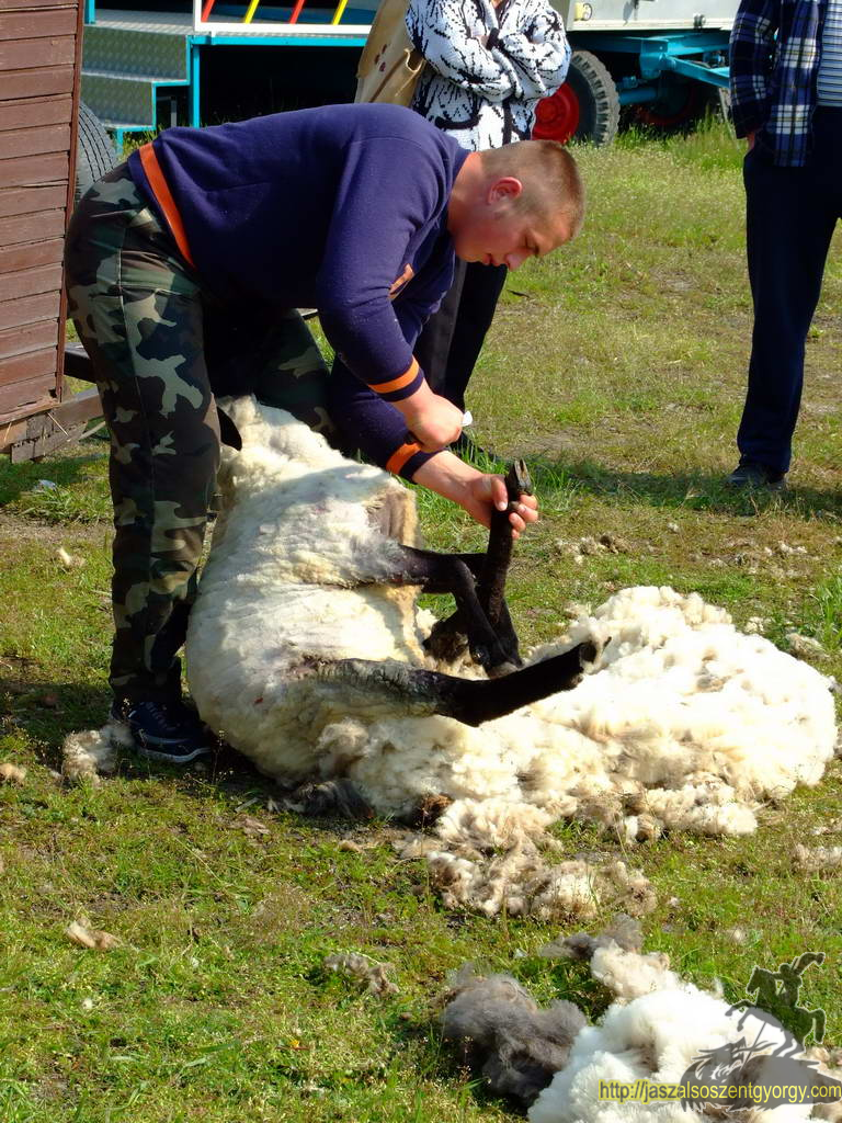 birkanyiro100424_ 027.JPG