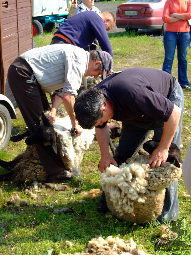 birkanyiro100424_ 030.JPG