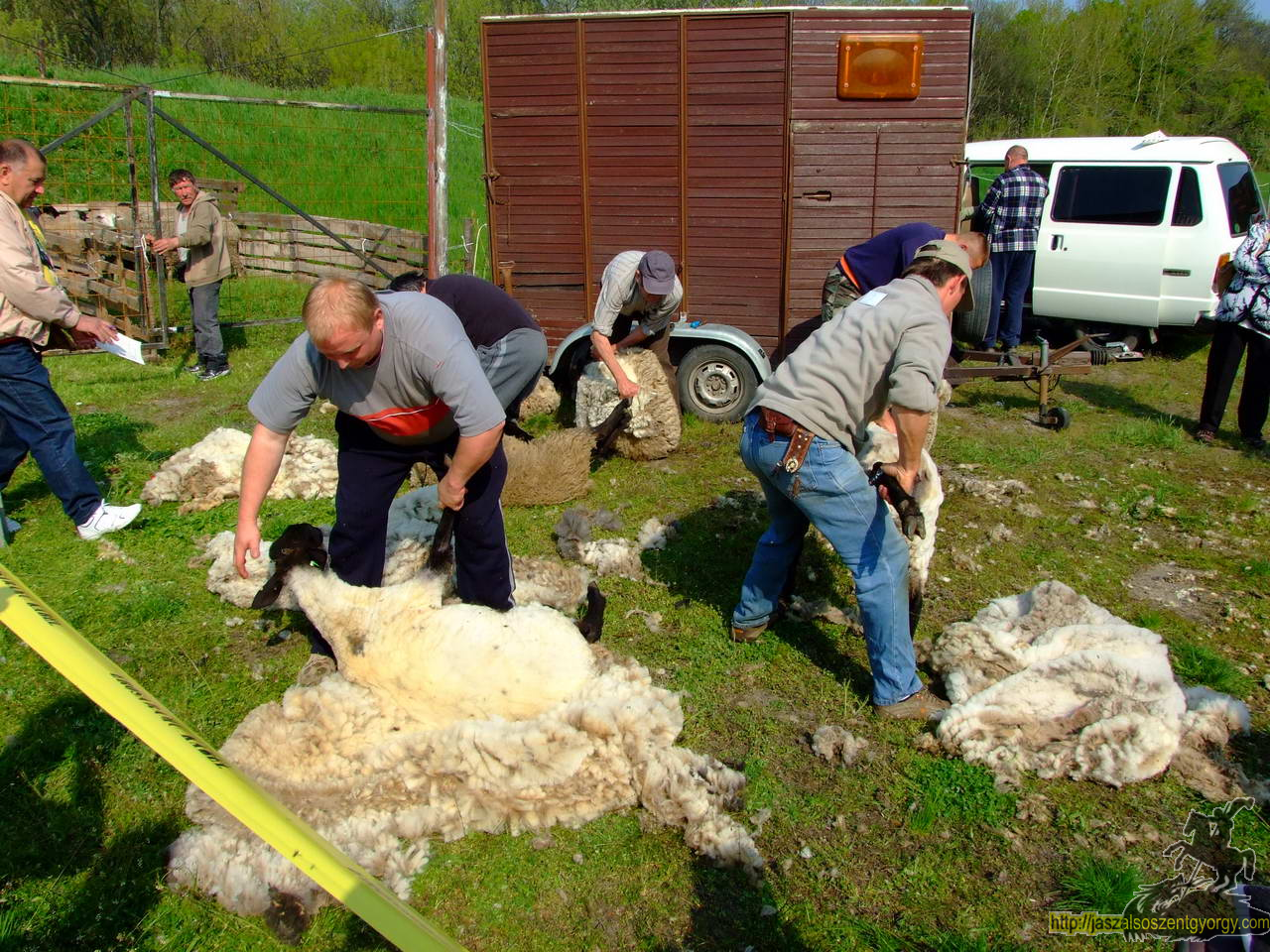 birkanyiro100424_ 031.JPG