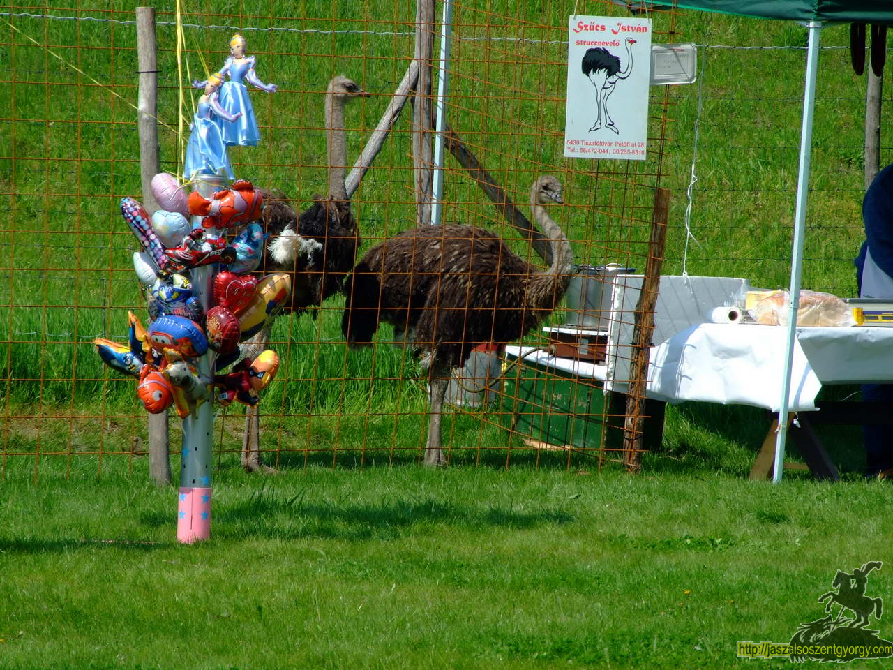 birkanyiro100424_ 114.JPG