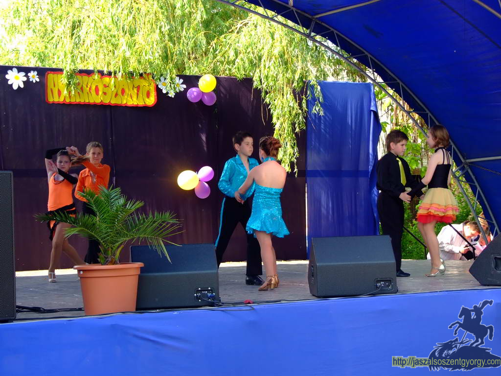 nyarkoszonto100522008.jpg